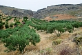 241_Kreta Wschodnia